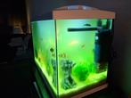 Aquarium te koop, Dieren en Toebehoren