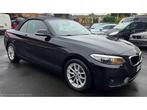 2016 BMW 220i Cabrio, Auto's, BMW, Gebruikt, Euro 6, Bedrijf, Handgeschakeld