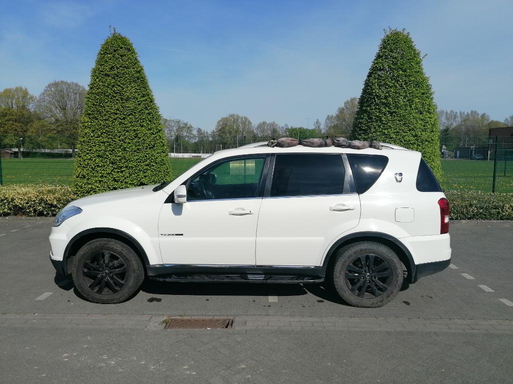 Ssangyong Rexton 2014 Lichte vracht, Auto's, Automaat, Euro 5, 110 kW, 4 cilinders