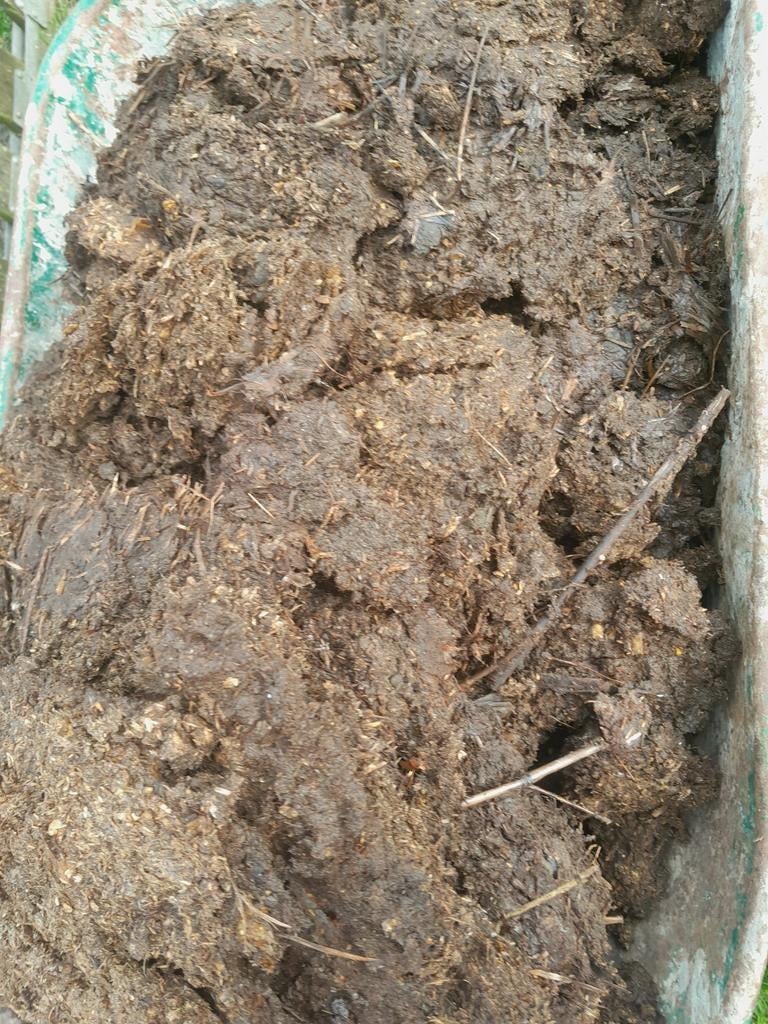 Kippen  mest gratis, Ophalen, Mest