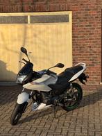 Honda CBF125-M, Motos, Motos | Honda, Permis Moto A1 minimum, Particulier, 1 cylindre, Naked bike
