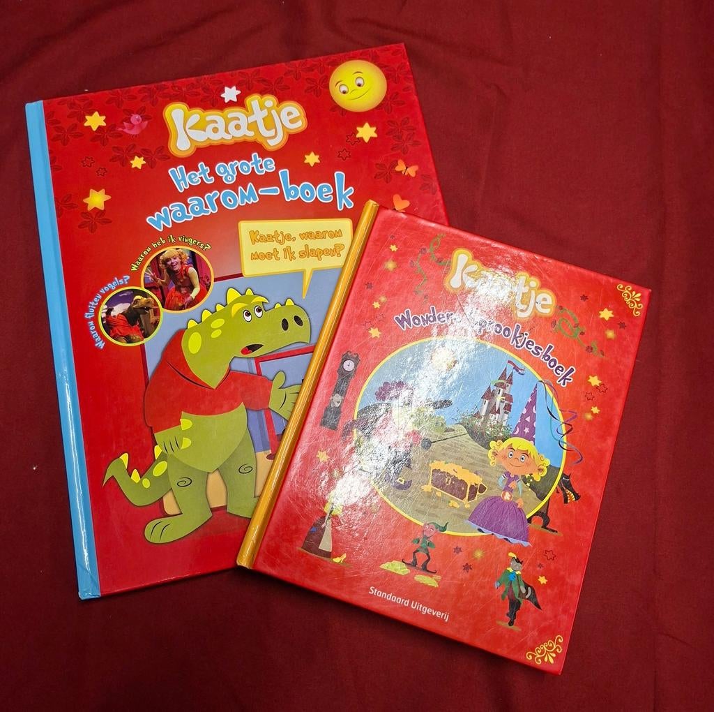 Boeken studio 100 : kaatje, Ophalen of Verzenden