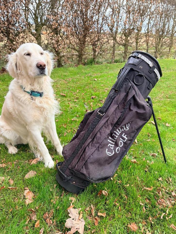 Sac de golf Callaway Super état avec trépied noir, Sports & Fitness, Golf, Utilisé, Sac, Callaway, Enlèvement ou Envoi