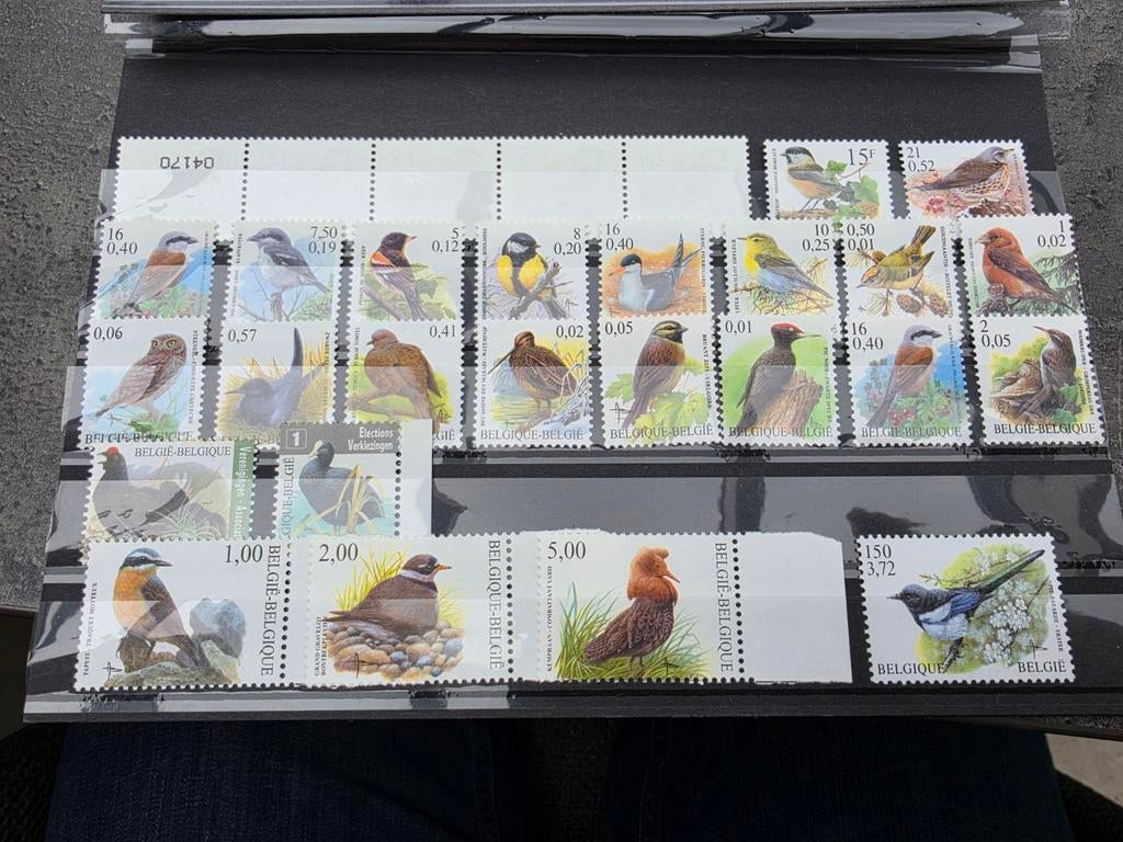 Belgie vogels buzin in fr en €, Ophalen of Verzenden