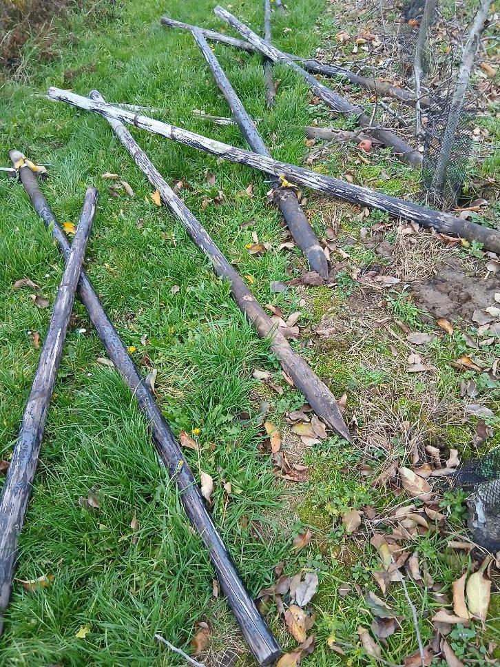 houten palen uit boomgaard, Tuin en Terras, Palen, Balken en Planken, Gebruikt, Palen, 250 cm of meer, Ophalen