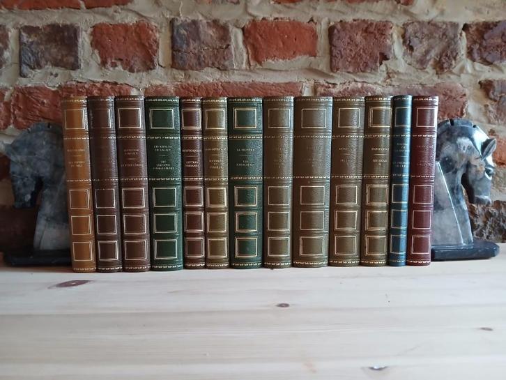 Franse klassieke literatuur, Boeken, Literatuur, Zo goed als nieuw, Europa overig, Ophalen of Verzenden