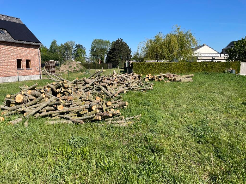 Brandhout  wilg, Tuin en Terras, 6 m³ of meer, Ophalen, Overige houtsoorten, Blokken