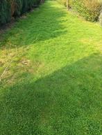 Location Terrain pelouse jardin plus ou moins 140 m²