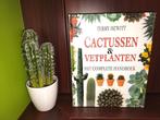Cactus Set: Terry Hewitt Handboek + Kunstcactus in Pot, Enlèvement, Cactus, En pot