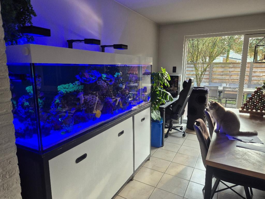 Mer rouge 750 xxl, Animaux & Accessoires, Red Sea, Aquarium d'eau de mer rempli, Enlèvement, Utilisé