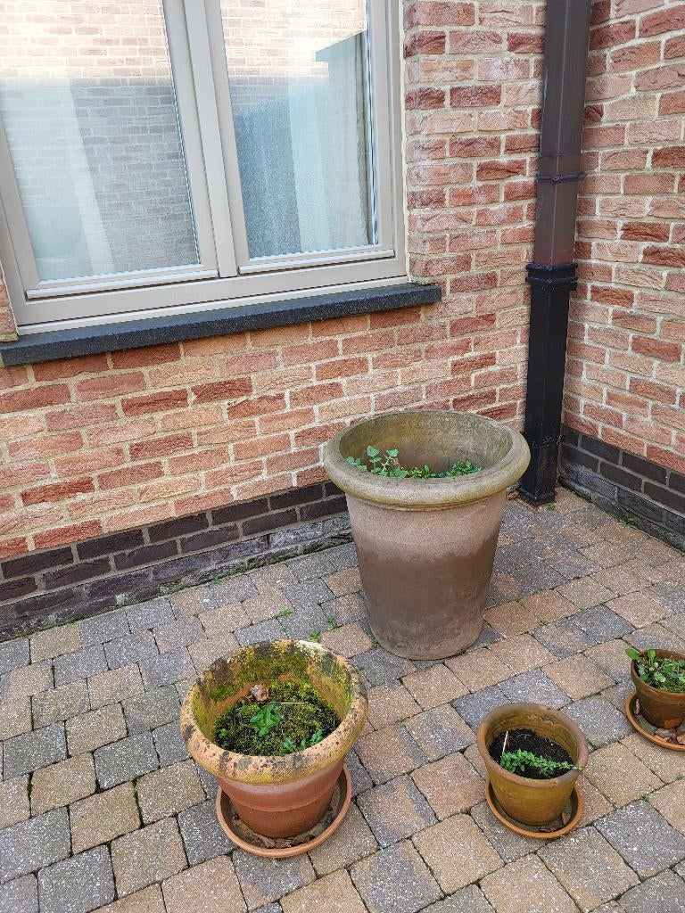 Italiaanse terracotta potten, Tuin en Terras, Ophalen, Gebruikt, 40 cm of meer, Rond