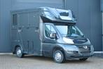 Peugeot Boxer paardencamionette CAM*TREK*opbouw nieuw, Auto's, Voorwielaandrijving, Euro 5, 199 g/km, Zwart