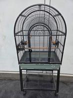 Kooi voor papegaai, Dieren en Toebehoren, Ophalen