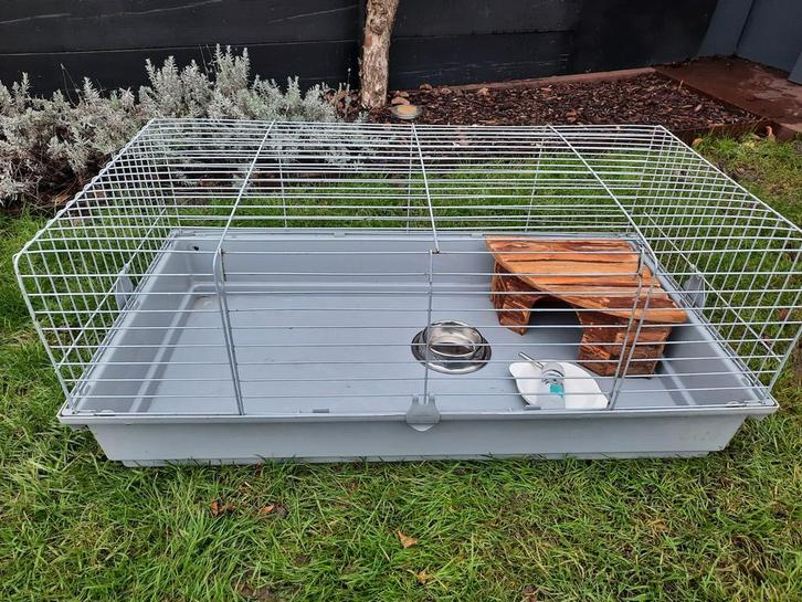 Cage à lapin, Animaux & Accessoires, Rongeurs & Lapins | Cages & Clapiers, Cage, Lapin, Enlèvement