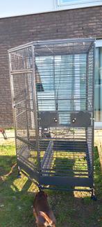 Vogelkot in prima staat, Dieren en Toebehoren, Vogels | Parkieten en Papegaaien