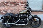 Harley-Davidson Sportster Iron 883 (2015), Motos, Entreprise, Plus de 35 kW, Chopper, 2 cylindres