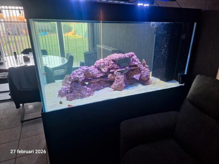 Groot zeeaquarium. 1000l, Animaux & Accessoires, Poissons | Aquariums & Accessoires, Pompe, Chauffage, Reef Factory, Enlèvement