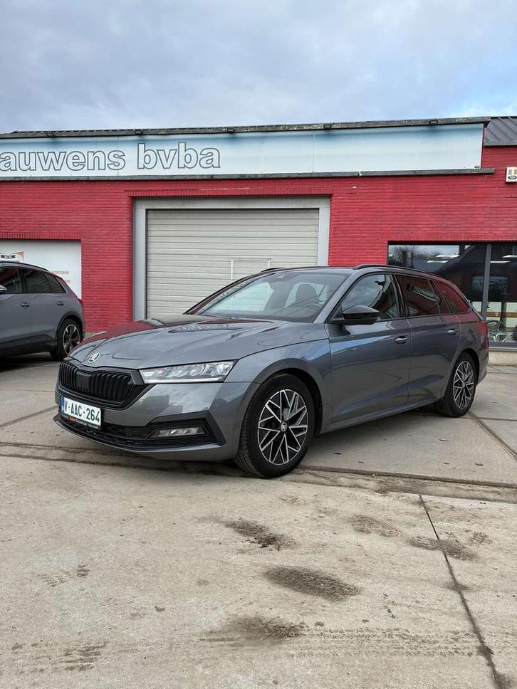 Skoda Octavia Octavia SW 1.5 TSI eTec MHE Style DSG, Autos, Skoda, Entreprise, Achat, Octavia, ABS, Airbags, Air conditionné, Alarme