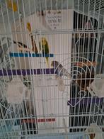 A vendre, Enlèvement, Comme neuf