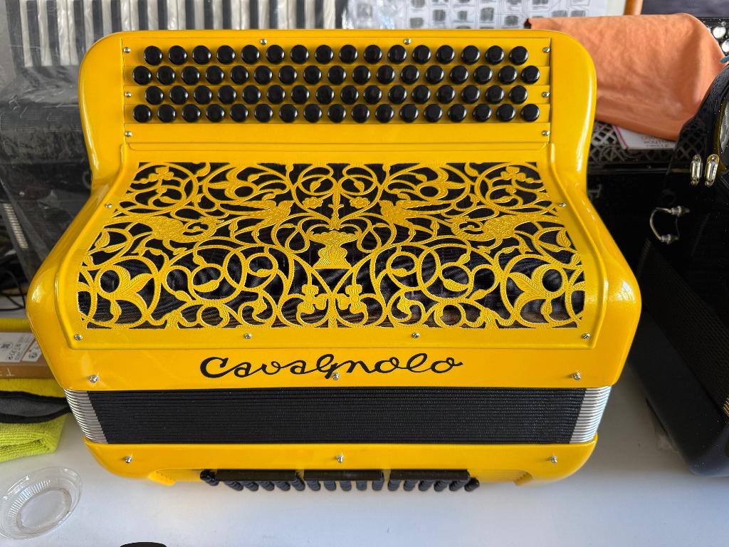 Accordéon CAVAGNOLO, Musique & Instruments, Instruments à vent | Autre, Neuf, Enlèvement