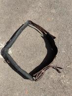 Full longeersingel, Dieren en Toebehoren, Ophalen, Zo goed als nieuw