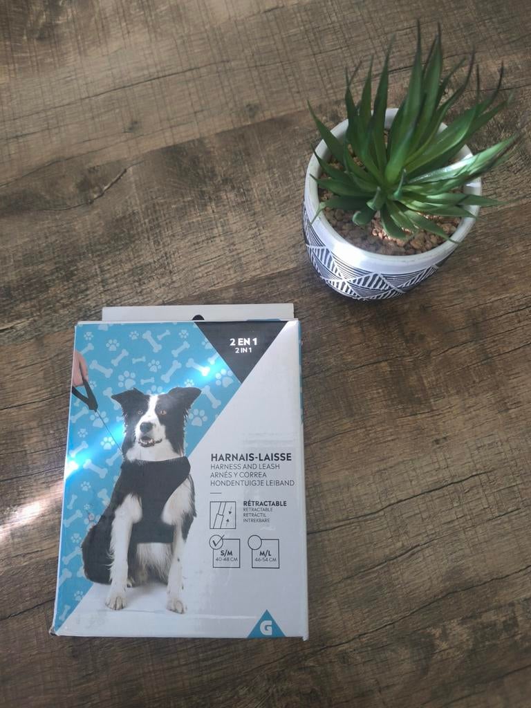 2 in 1 hondentuigje leiband {NIEUW}, Ophalen of Verzenden, Nieuw, Hondenriem