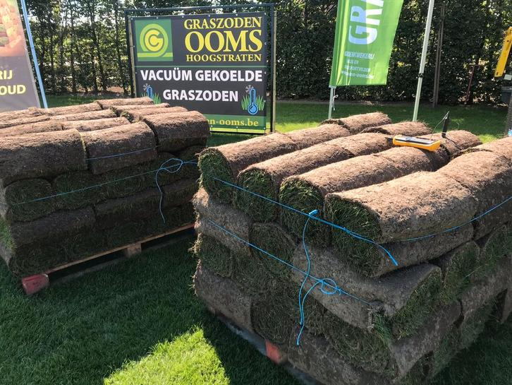 Grasmatten. Gazon op rol. Graszoden, Tuin en Terras, Gras en Kunstgras, Nieuw, Gras, Ophalen