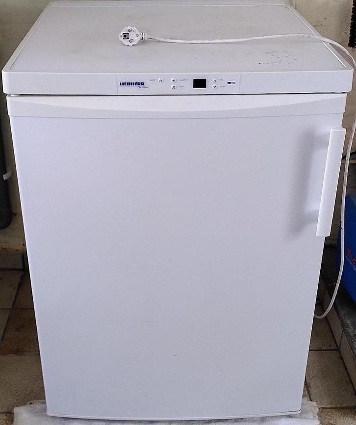 Liebherr diepvrieskast GP 1466 – 106L – A++, Electroménager, Congélateurs, Utilisé, Autoportant, Congélateur, Congélateur, Classe énergétique A ou plus économe