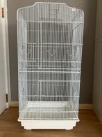 Belle cage à oiseaux (canaris, perroquets, calopsittes…), Ophalen, Zo goed als nieuw, Metaal, Vogelkooi