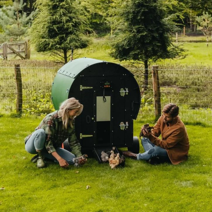 Nestera kippenhok: Wagon. OP VOORRAAD, Dieren en Toebehoren, Pluimvee | Toebehoren, Nieuw, Kippenhok of Kippenren, Ophalen of Verzenden