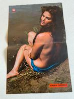 Poster Claudia Cardinale (34 x 53 cm), Enlèvement ou Envoi, Utilisé