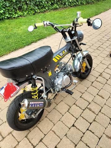 Honda Dax 125cc