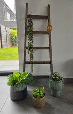 Échelle décorative, Enlèvement