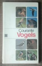 Courante Vogels, Ophalen of Verzenden, Vogels
