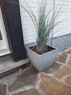 Plantenbakken met kunststofgras, Ophalen