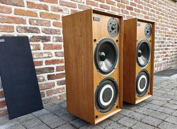 Celestion Ditton15XR, gereviseerd, mooie sound en anls nieuw beschikbaar voor biedingen
