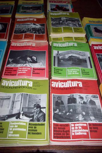 8 volledige jaargangen tijdschrift "Avicultura" disponible aux enchères