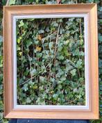 Klassieke Kaders - Diverse Afmetingen, Enlèvement ou Envoi