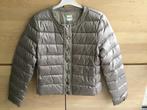 Jasje LIU-JO, Kleding | Dames, Jassen | Winter, Maat 38/40 (M), Overige kleuren, Liu Jo, Ophalen of Verzenden