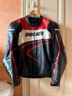 Veste cuir Ducati Dainese, Motoren, Kleding | Motorkleding