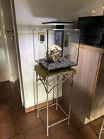 SuperFish Qubiq 30 Pro Aquarium (1 maand oud), Dieren en Toebehoren, Ophalen, Nieuw, Gevuld zoetwateraquarium