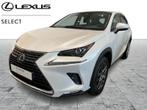Lexus NX 300H Executive Line, Auto's, Automaat, 114 kW, 2494 cc, Wit