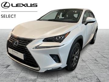 Lexus NX 300H Executive Line, Autos, Euro 6, Entreprise, Noir, 5 portes