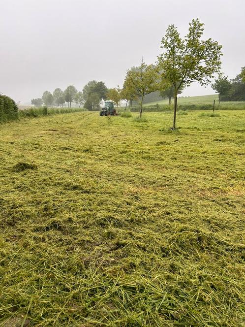 Maaien/ klepelen aan de beste prijs!, Tuin en Terras, Gras en Kunstgras, Nieuw, Gras, Ophalen