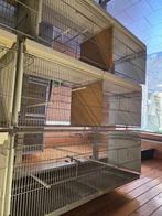 Vogelkooi, Dieren en Toebehoren