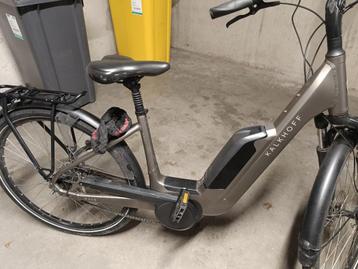 Elektrische fiets kalkhoff