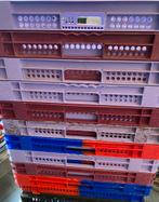 40x60x15cm pvc-containers 2 modellen prijs: 6€/stuk, Ophalen of Verzenden, Gebruikt, Plastic, Kweekkas