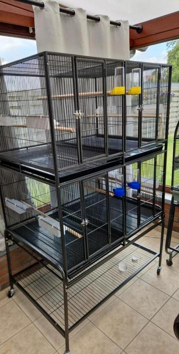 Vogelkooi 4 delig  beschikbaar voor biedingen