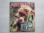Album Panini complet - Les animaux du monde, Collections, Autocollants, Comme neuf, Animal et Nature, Enlèvement ou Envoi