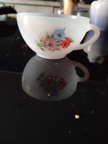 1 kop arcopaalbloemen  beschikbaar voor biedingen